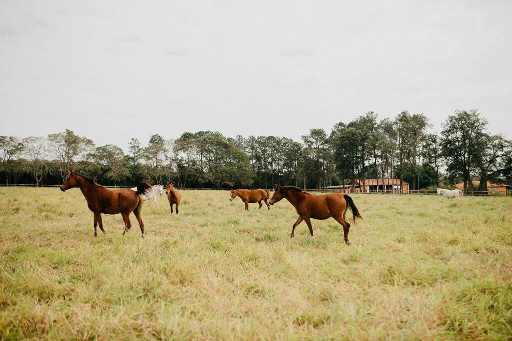 Linda Casa 1H30 De Sp Dentro De Haras Com Lazer Villa Boituva Exterior photo